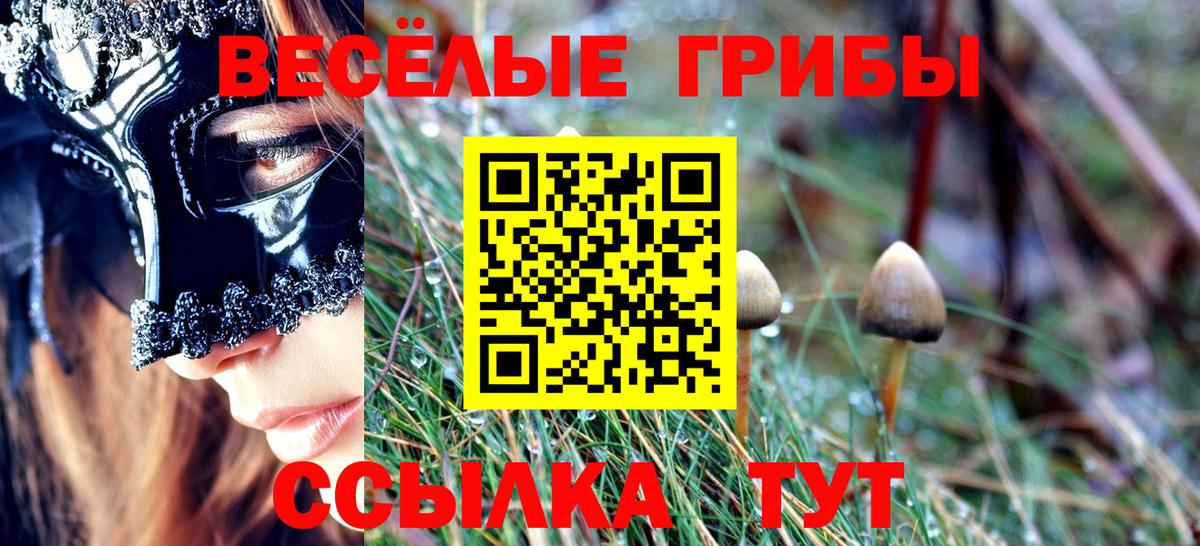 Псилоцибиновые грибы Psilocybe Гусь-Хрустальный