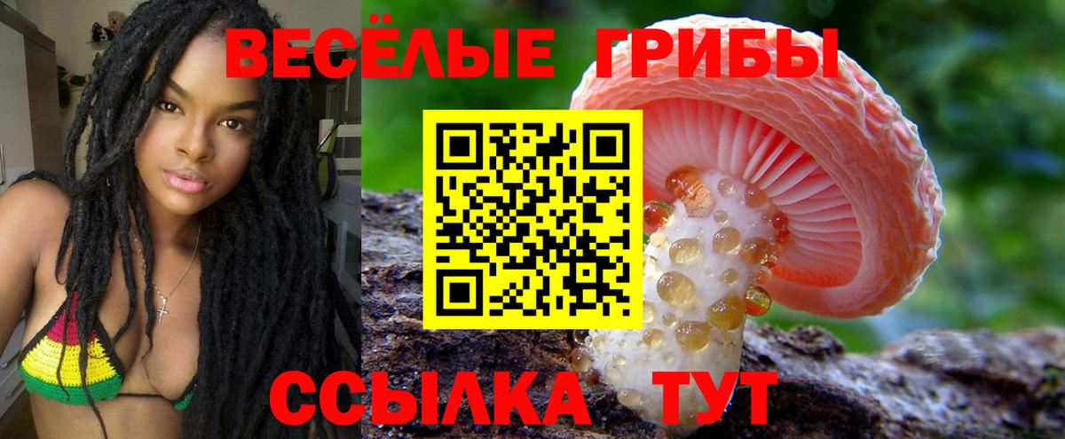 Псилоцибиновые грибы мухоморы  Вход с VPN  Гусь-Хрустальный 